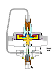 ��ɽ���ݻ���