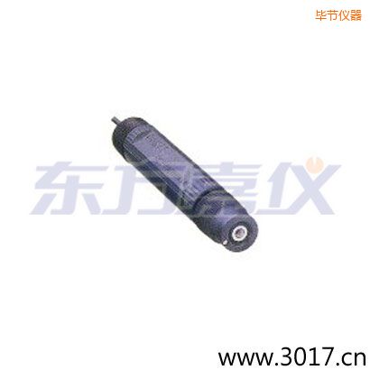 �Ͻں����¶ȵ�˫���ŵ缫