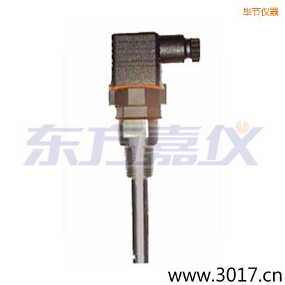 �Ͻں����¶ȵ����ߵ絼�ʵ缫