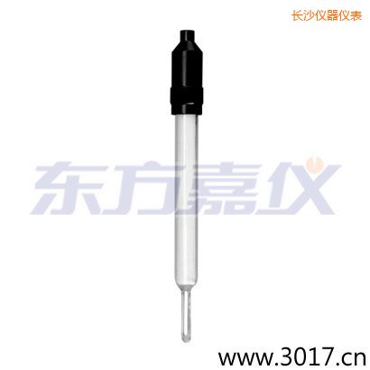 长沙玻璃外壳无温补两线电导率电极
