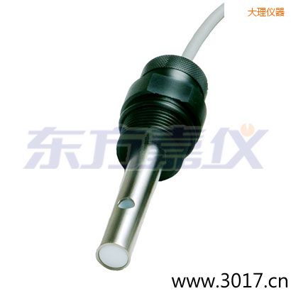 大理含有温度两线电导率电极