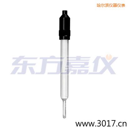 哈尔滨玻璃外壳无温补两线电导率电极