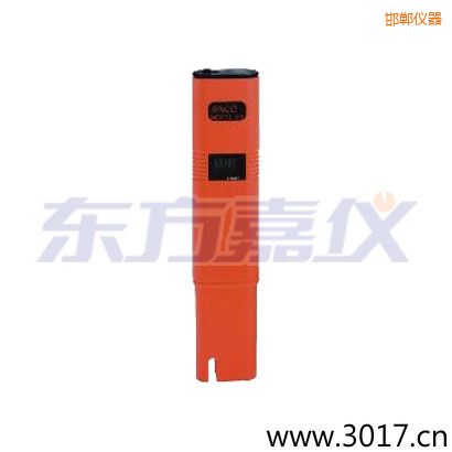 �����絼�ʡ���ʽ������