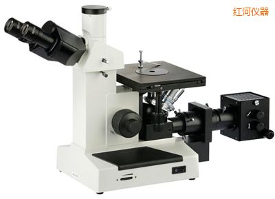 ��ӽ�����΢��