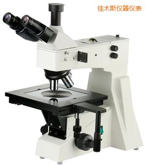 ��ľ˹���ý�����΢��