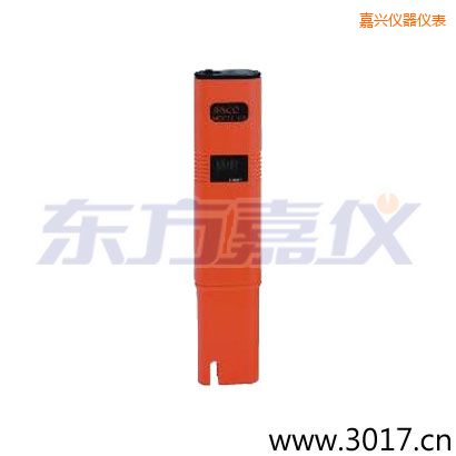 ���˵絼�� ��ʽ������