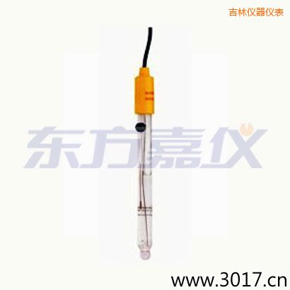 吉林可填充玻璃管电极