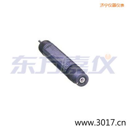 ���������¶ȵ�˫���ŵ缫