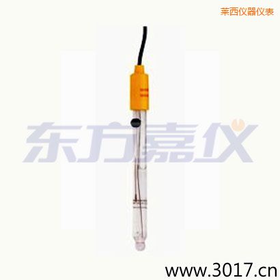 莱西可填充玻璃管电极