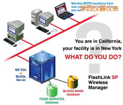 莱西软件(桌面和网络托管))