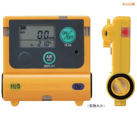 乐山复合型气体检测器