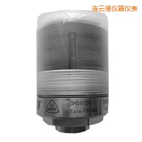 连云港无线状态监测器