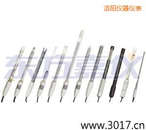 洛阳pH电极