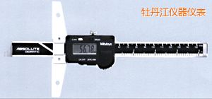 ĵ��������