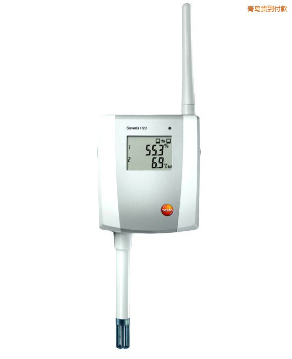 �ൺtesto Saveris H2 D ˫ͨ���¶�/ʪ��̽ͷ