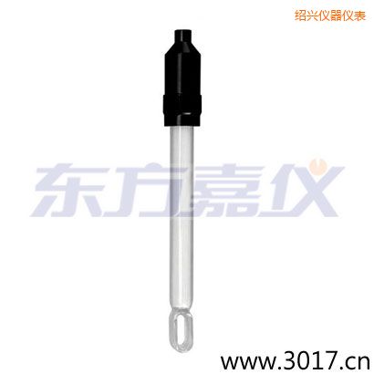 绍兴无温补两线电导率电极