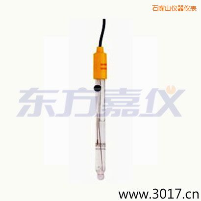 石嘴山可填充玻璃管电极