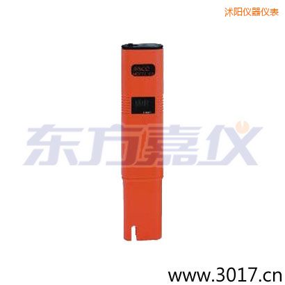 �����絼�ʡ���ʽ������