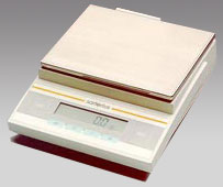 ̩�ݵ�����ƽ,3100g,0.1g