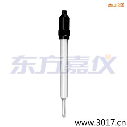 唐山玻璃外壳无温补两线电导率电极