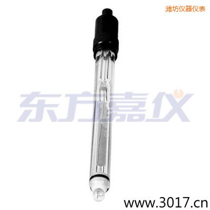 潍坊玻璃外壳铂金环ORP电极