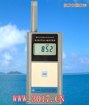 武汉声级计(噪音计)