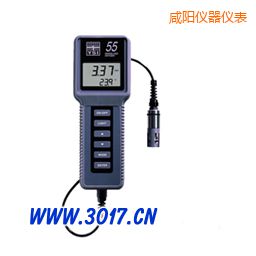 咸阳溶解氧、温度测量仪