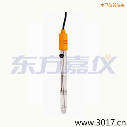 中卫可填充玻璃管电极