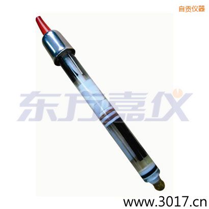 �Թ��������,���²�˫���ŵ缫