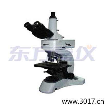 ʱ�����ý�����΢��