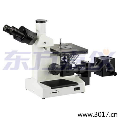 ������΢��