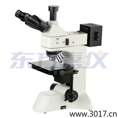 ͸���������΢��