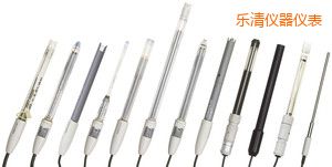 ����๦�ܵ缫